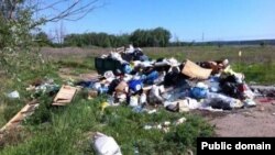 Алабуга районы Мальцево авылы янындагы чүплек