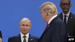 Владимир Путин и Дональд Трамп 