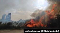 Пожар в Крыму, архивное фото