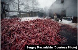 Отходы. Зверосовхоз «Пионер». Поселок Мшинская, Ленинградская область, 2002