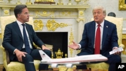 Президент США Дональд Трамп и генсек НАТО Марк Рютте на встрече в Белом доме