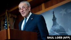 Demokrati, Chuck Schumer.